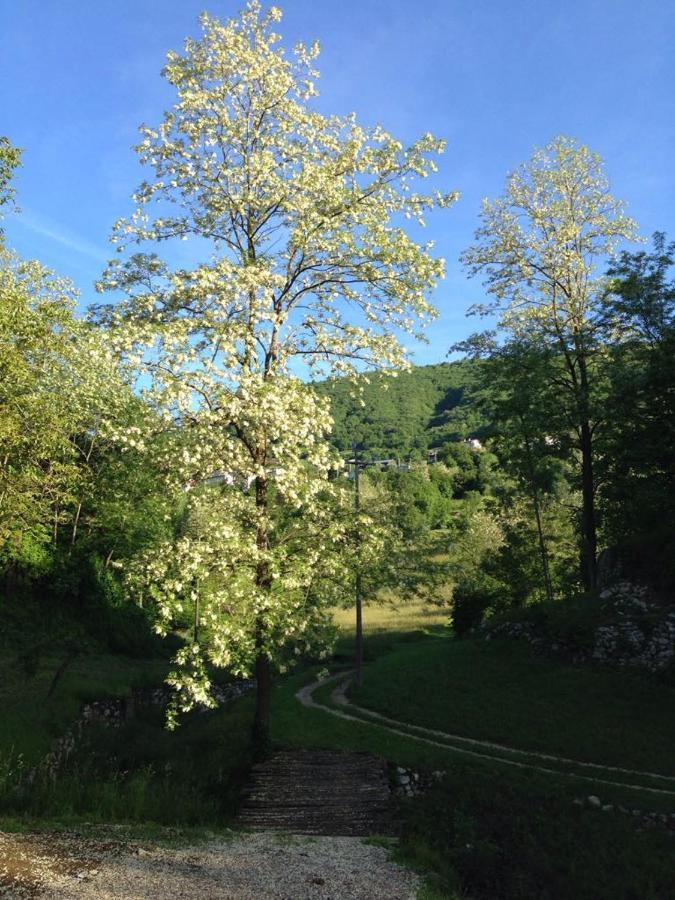 Agriturismo Fattoria Togonegro Villa Marostica Kültér fotó