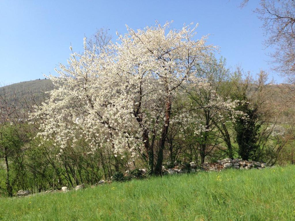 Agriturismo Fattoria Togonegro Villa Marostica Kültér fotó