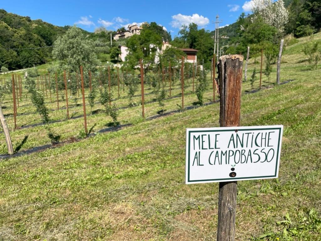 Agriturismo Fattoria Togonegro Villa Marostica Kültér fotó